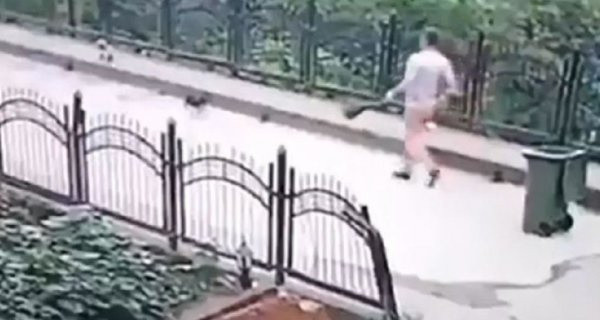 Köpeği dereye atan işçiye köpeklere bakma görevi - Resim: 0