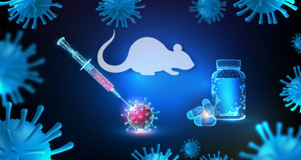 Koronavirüs deneylerinde kullanılan farenin fiyatı duyanları şaşkına çevirdi - Resim: 2