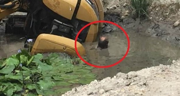 Bu kazalarda hayatta kalmak mucize - Resim: 3