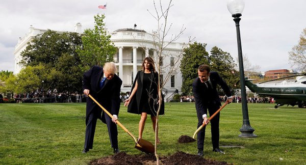 Trump ile Macron'un diktiği fidan kurudu - Resim: 0