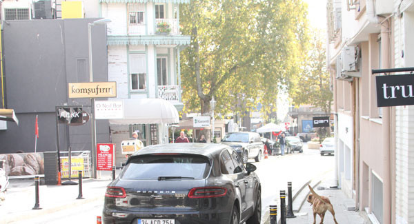 Geçen hafta kaza yapan Zehra Çilingiroğlu bu seferde trafikte köpeği... - Resim: 4