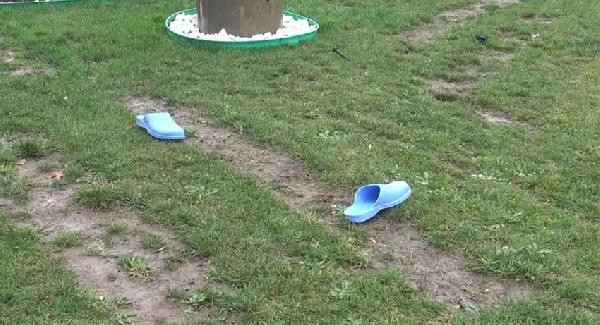 İntihar etmek için çıktığı direkte elektriğe kapılıp... - Resim: 1