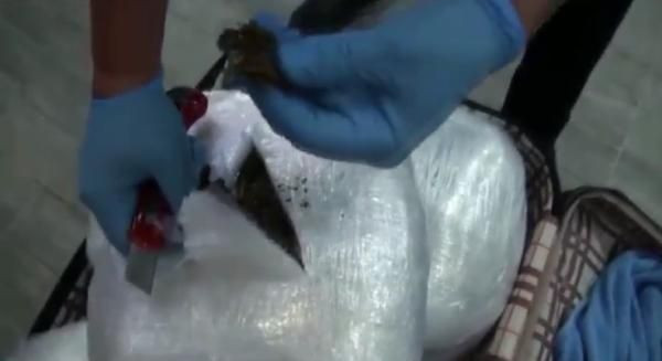 Sabiha Gökçen Havalimanı'nda uyuşturucu operasyonu - Resim: 3