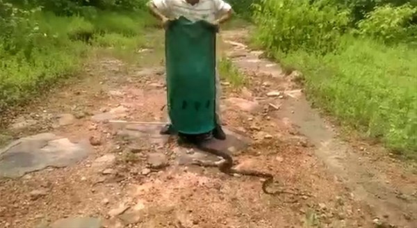 Yaptığı iş sizi hayrete düşürecek yok böyle tehlike! - Resim: 1