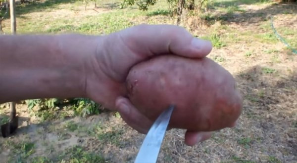 Süpürge sapının üzerindeki delikler ne işe yarıyor  - Resim: 3