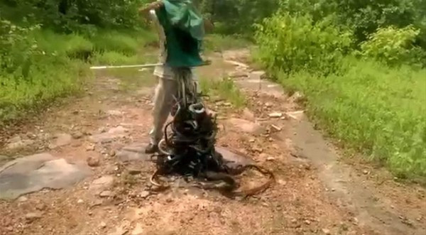 Yaptığı iş sizi hayrete düşürecek yok böyle tehlike! - Resim: 3