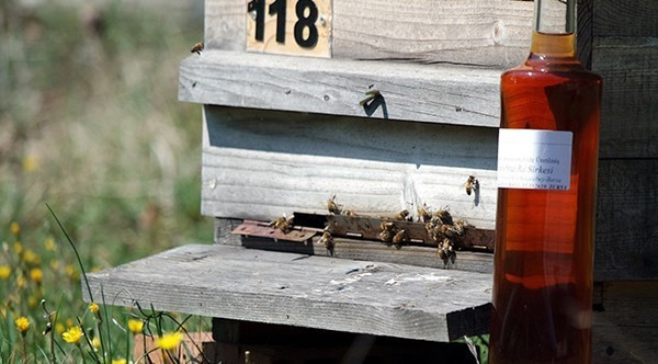 Kanserin tedavisinde mucize: Sarımsak ve bal - Resim: 4