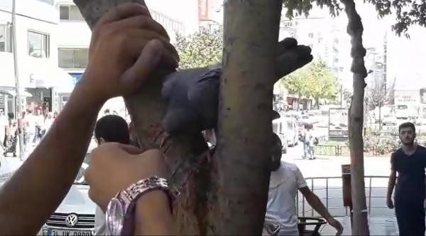 Herkes bunu konuşuyor elleriyle içirdi - Resim: 4