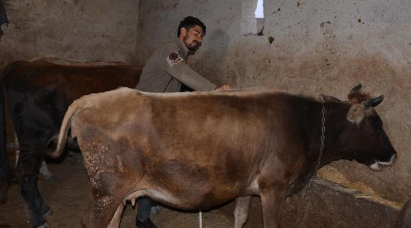 Erzurum'da dolandırıcıların söyledikleri pes dedirtti! 128 bin lirasından oldu - Resim: 1