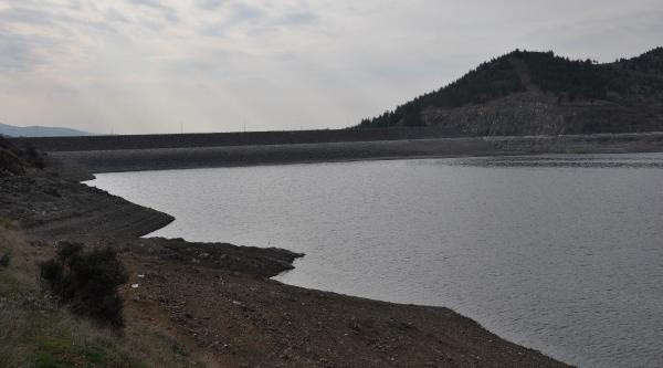 Gaziantep'te korkutan tablo yüzde 5'e düştü: İlk kez bu kadar düştüğüne şahit olduk - Resim: 0