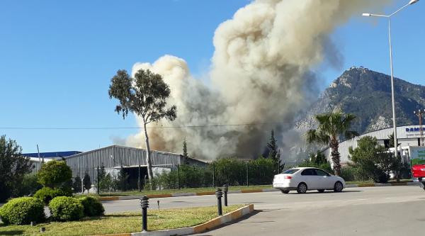 Antalya'da lüks yatların üretildiği merkezde korkutan yangın - Resim: 2