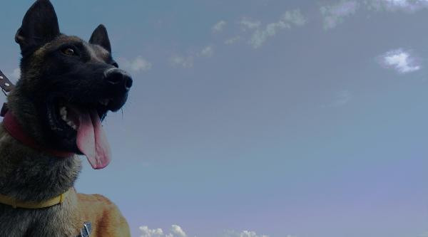 4 yaşındaki Leyla'yı arama çalışmalarında çok acı detay! - Resim: 3