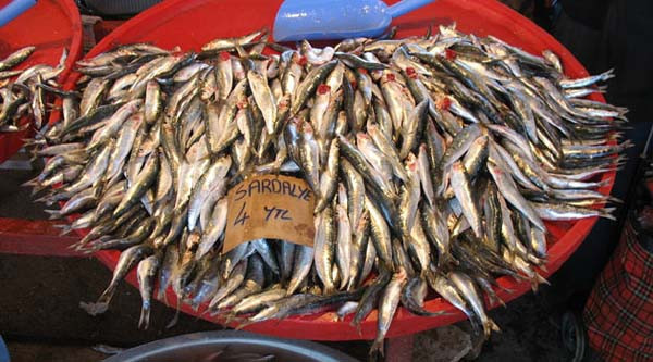 Tüketilmesi gereken 30 gıda - Resim: 3