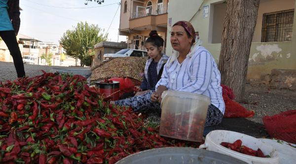 Gaziantep'te kimlik fotokopisini kaybetti! Başına gelmeyen kalmadı - Resim: 0