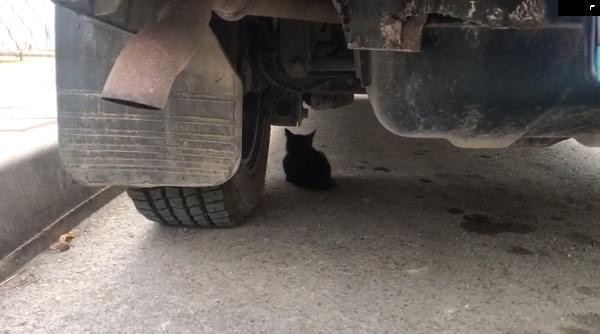 Tokat'ta aracın camına bırakılan not hayat kurtardı - Resim: 1