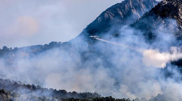 Antalya'daki orman yangını! Alevler Göynük Kanyonu'na ilerliyor - Resim: 0