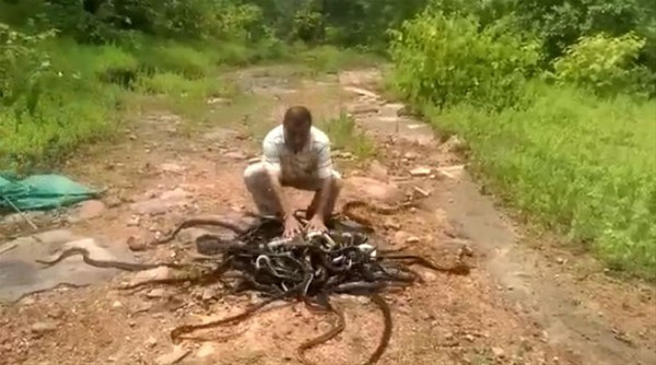 Yaptığı iş sizi hayrete düşürecek yok böyle tehlike! - Resim: 4