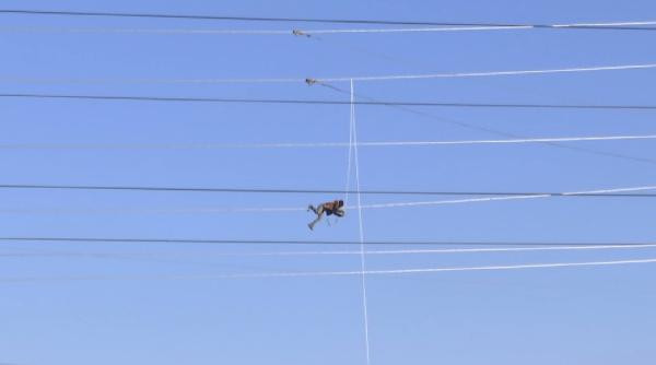 Ne yapıyor bu adam yüksek gerilim hattında nedeni... - Resim: 3