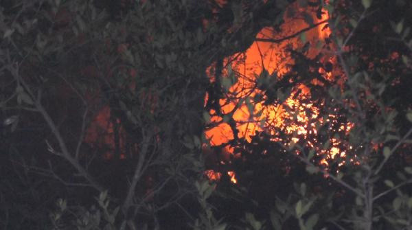 Karabük'te yıldırımın düştüğü ormanda yangın çıktı - Resim: 0