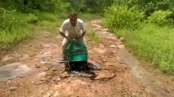 Yaptığı iş sizi hayrete düşürecek yok böyle tehlike! - Resim: 2