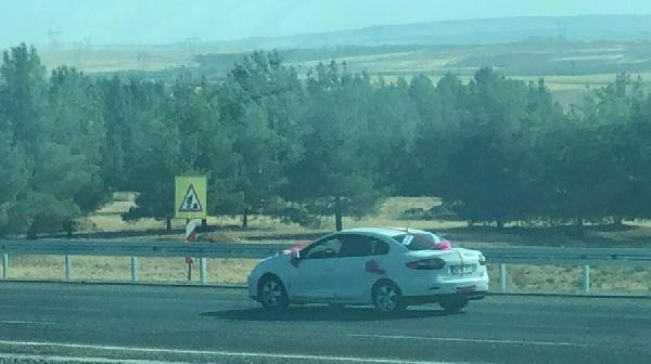 Şanlıurfa'da cinayet şüphelisi gelin arabasında yakalandı - Resim: 0