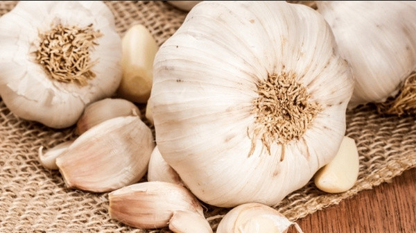 Kokusunu umursamadan yastık altına bir diş sarımsak koyun! İnanılmaz etki... - Resim: 0