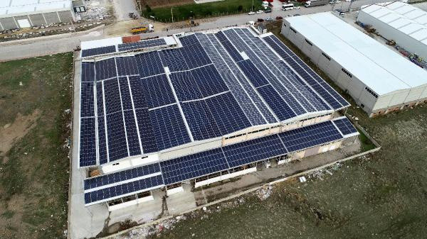 Fabrikasının çatısına ikinci fabrikayı kurdu! Aylık geliri 100 bin lirayı buldu - Resim: 3