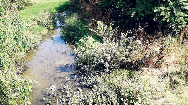 5 yıldır seslerini duyan yok! Koronadan değil bu yüzden ölecekler - Resim: 1