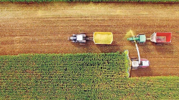 Kansere yol açıyordu! ABD'de artık yasaklandı - Resim: 0