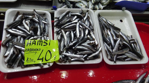 İstanbul ve Karadeniz'de 10 günlük yasakta fiyat fırladı! Cep yakıyor - Resim: 1