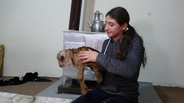 Hakkari'de gören hayret etti! Gözyaşlarını tutamadı eve aldılar - Resim: 0