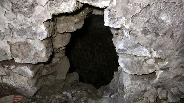 Trabzon'da eve gelince gördükleri şok etti: Hayret ettik kocamandı - Resim: 2