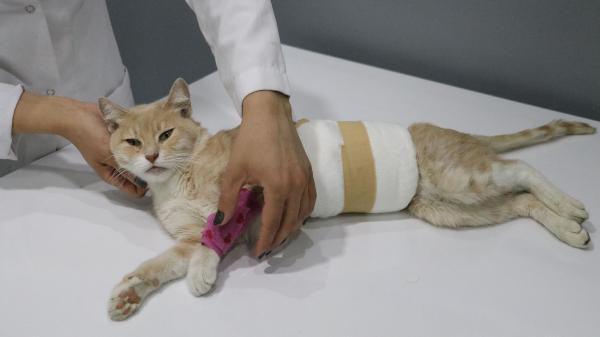 Denizli'de kanlar içinde bulundu iğrenç olay ortaya çıktı: Sperm lekeleri bulundu - Resim: 0