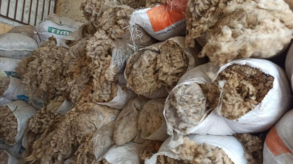 Kilosu 2 TL! ABD Çin havada kapıyor Türkiye'de kıymeti bilinmiyor - Resim: 0