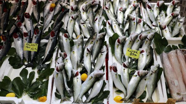 Tezgahlar doldu taştı balık fiyatları düştü: Vatandaşımız balığa doyacak - Resim: 1