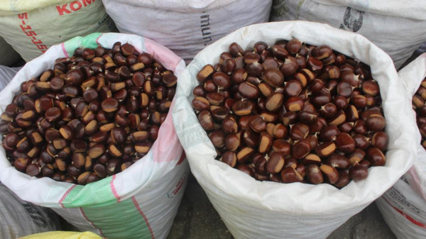 Fiyatı 10 TL'ye kadar düştü! Kastamonu'da bolluk yüzleri güldürdü - Resim: 0