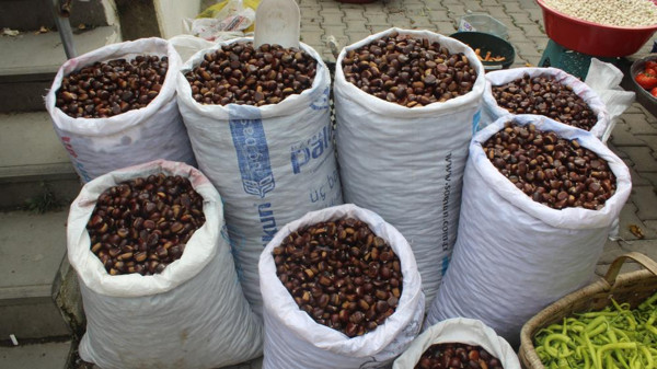 Fiyatı 10 TL'ye kadar düştü! Kastamonu'da bolluk yüzleri güldürdü - Resim: 1