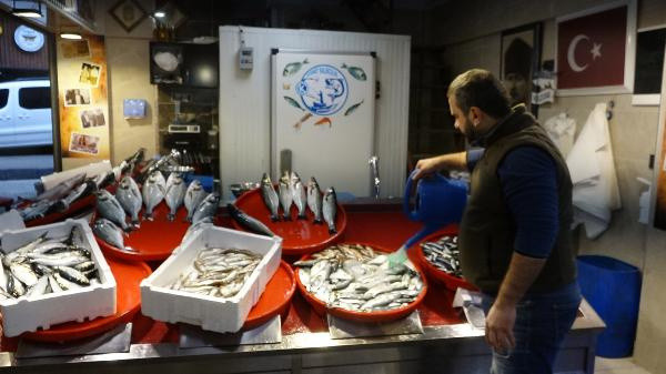 Hamsi sürüleri kuzeye yöneldi! Fiyatlar yükselişe çekti: İyi durumumuz yok - Resim: 0