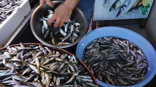 Karadeniz'de bu yıl hamsi erken tükendi! Kilosu 40 TL'ye yükseldi - Resim: 0