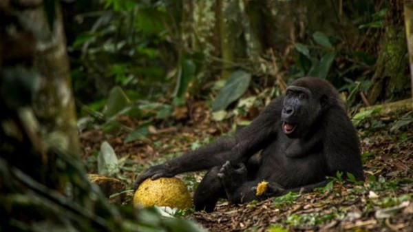 Dünya bunu bekliyordu hepsi birbirinden çarpıcı - Resim: 4