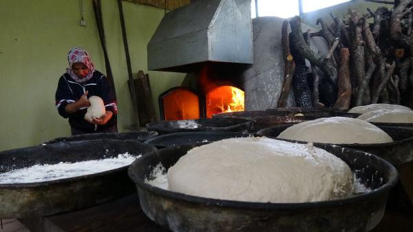 Yavru ayıları ballı ekmekle besliyor - Resim: 3