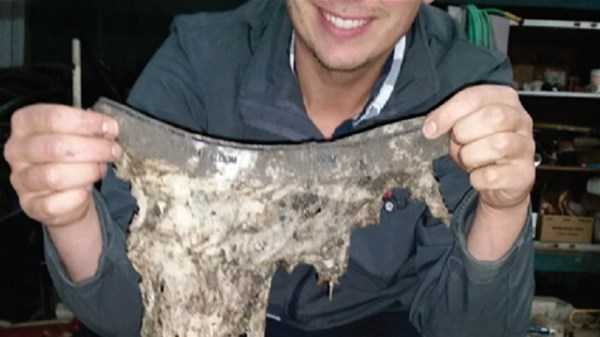 İç çamaşırlarını  neden toprağa gömüyorlar? İlginç test - Resim: 3