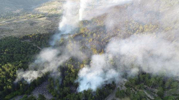 Kastamonu'daki yangın 18 saatte söndürüldü! 20 hektar yandı... - Resim: 3