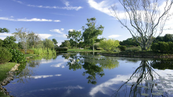 ABD'nin en pahalı evi 147 milyon dolara satıldı! - Resim: 4