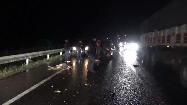 Şanlıurfa'da otomobilin çarptığı çoban ve 20 koyun öldü - Resim: 2