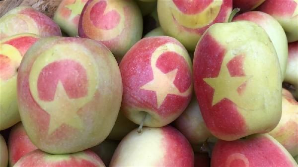 Kars'ın Kağızman ilçesinde ay-yıldızlı elma yetiştiriyor! Bu elmalardan başka yok - Resim: 3