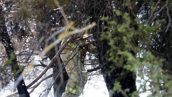Çanakkale'de orman yangın! 5 ayrı noktada başladı boğaz kapatıldı - Resim: 1
