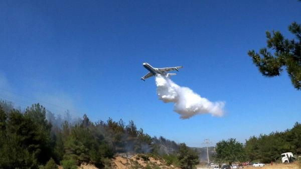 Çanakkale'de orman yangın! 5 ayrı noktada başladı boğaz kapatıldı - Resim: 2