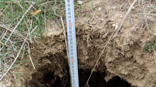 Afyonkarahisar'da ürküten görüntü! Fay hattı boyunca yarık ve obruk çıktı - Resim: 3