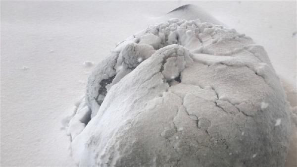 Gören gözlerine inanamadı! Lapa lapa yağan kar, sokak köpeğine 'örtü' oldu - Resim: 1